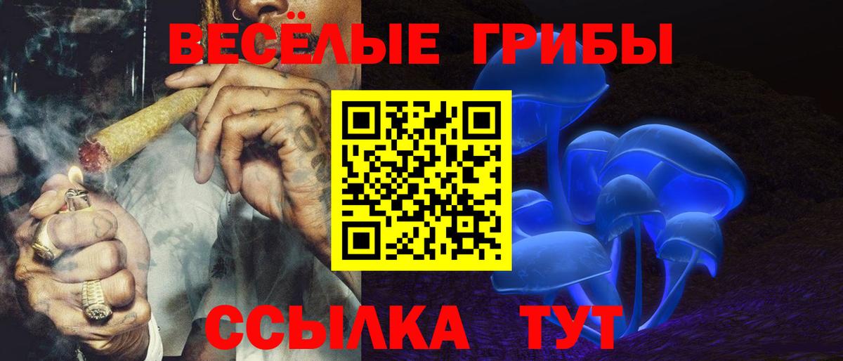 Галлюциногенные грибы Cubensis Городец
