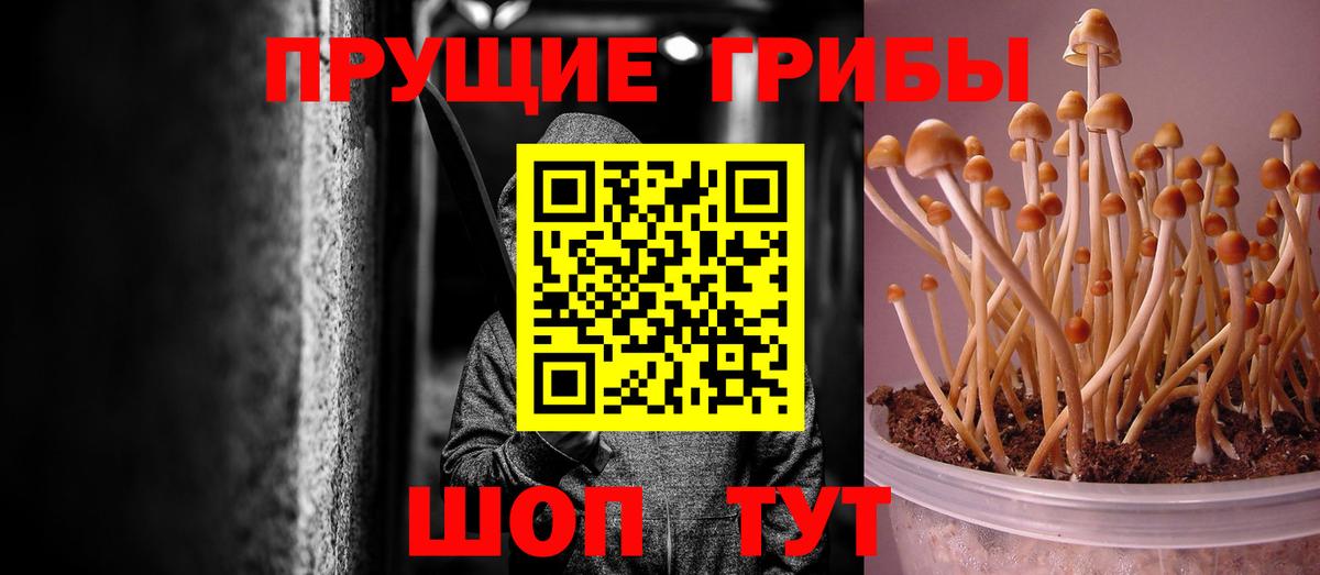 Городец  цены наркотик  Вход с VPN  Галлюциногенные грибы Psilocybe 